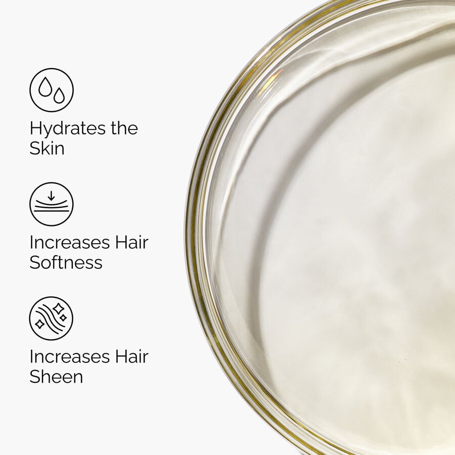 100-organic-cold-pressed-moroccan-argan-oil-y2 FY25-D41247-ORD-Web-PDP-100-Argan-Oil-1x1-EN-3.jpg